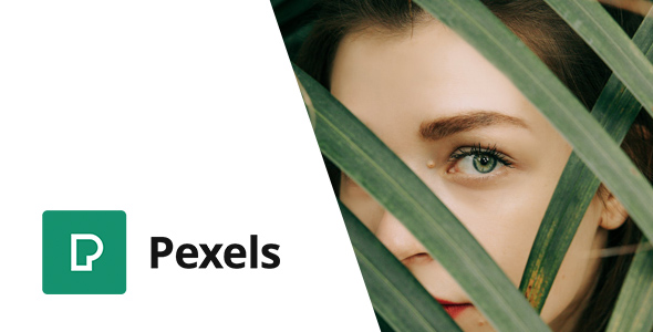 Pexels - Import Free Stock Images into WordPress