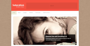 SATURATION BLOG STYLE WORDPRESS THEME