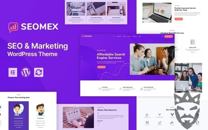 SEOMEX - SEO Agency & Online Marketing WordPress Theme