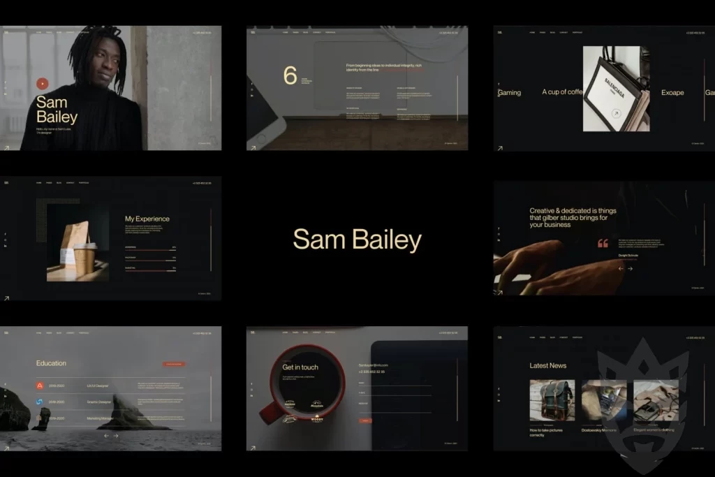 Sam Bailey - Personal CV/Resume WordPress Theme