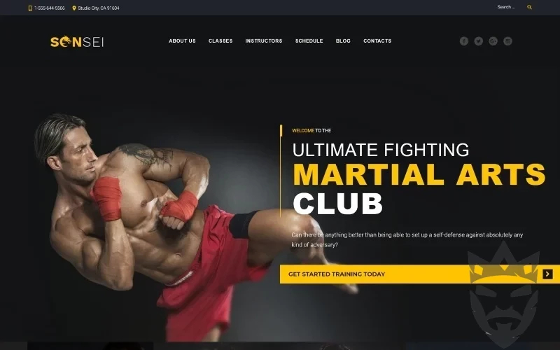 Sensei - Martial Arts WordPress Theme