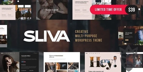 Sliva - Responsive Multi-Purpose Theme