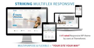 Striking - MultiFlex  Ecommerce Responsive WP Theme