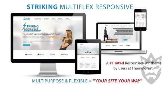 Striking - MultiFlex  Ecommerce Responsive WP Theme