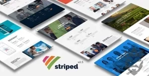 Striped - Multipurpose Business and Corporate Theme