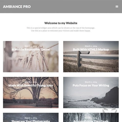 StudioPress - Ambiance Pro Theme