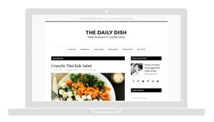 StudioPress - Daily Dish Pro Theme