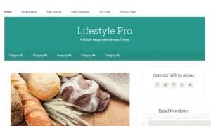 StudioPress - Lifestyle Pro Theme