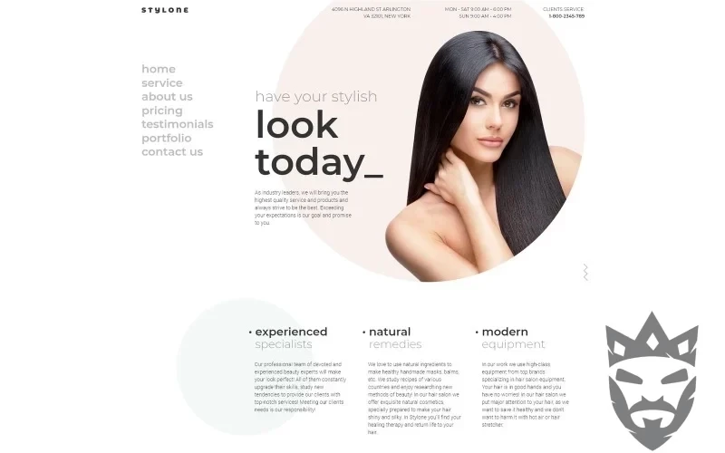 Stylone - Beauty Hair Salon WordPress Elementor Theme WordPress Theme