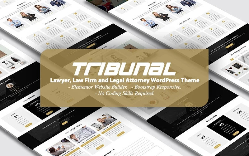 TRIBUNAL - Lawyer