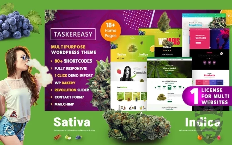 Taskereasy Cannabis Multipurpose WordPress Theme