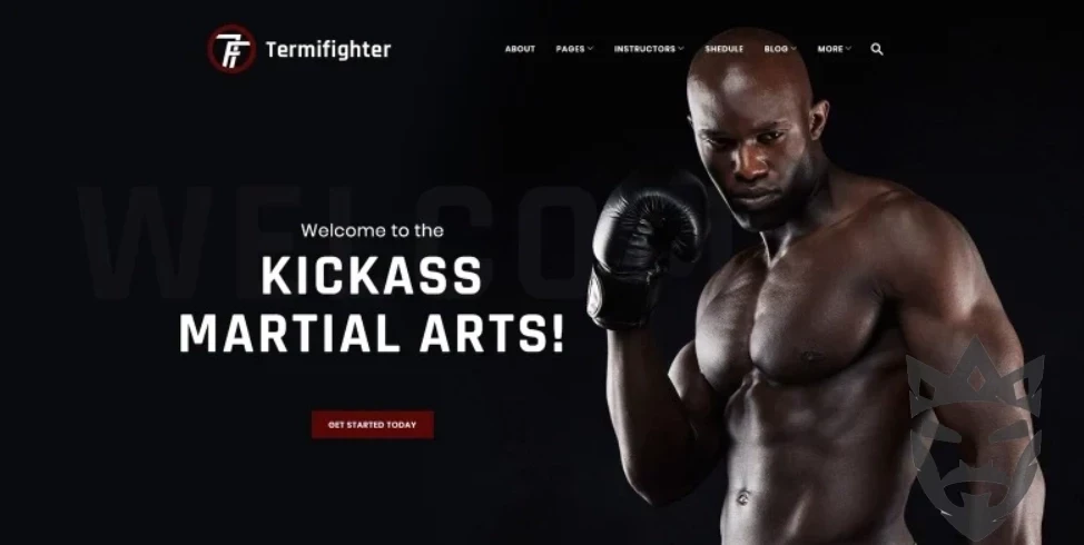 Termifighter - Martial Arts Club Responsive WordPress Theme