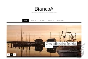 Theme Junkie – BiancaA