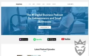 Theme Junkie – PodPro