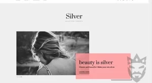 Theme Junkie – Silver