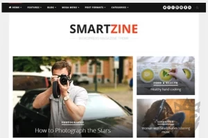 Theme Junkie – SmartZine