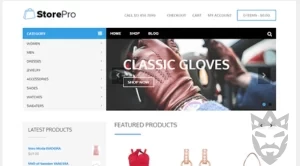 Theme Junkie – StorePro