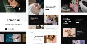 Themebau – Minimal Portfolio  Agency WordPress Theme