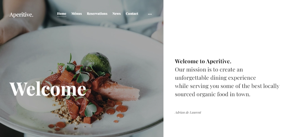 Themes Kingdom Aperitive WordPress Theme