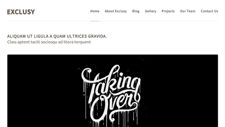 Themes Kingdom Exclusy WordPress Theme