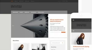 Themes Kingdom Invisi WordPress Theme