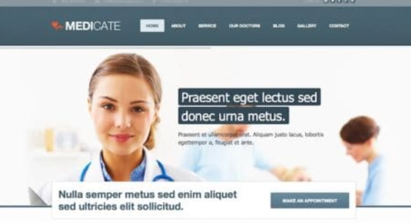 Themes Kingdom Medicate WordPress Theme