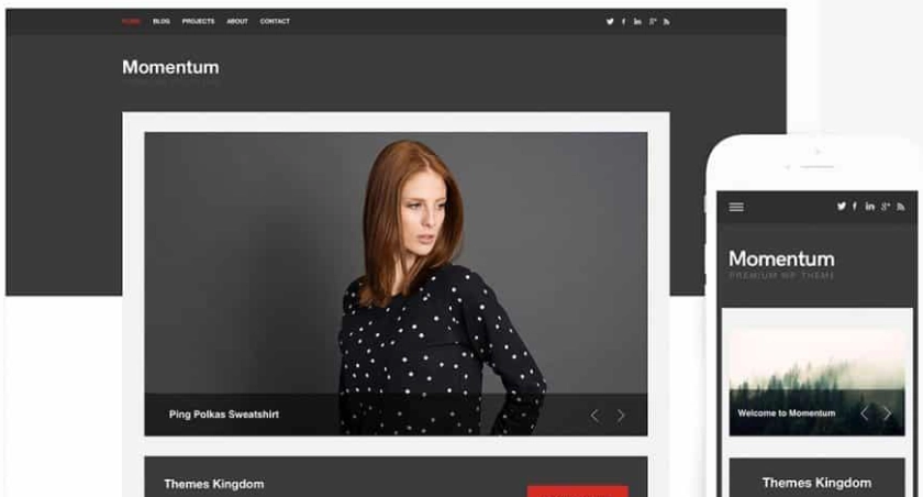 Themes Kingdom Momentum WordPress Theme