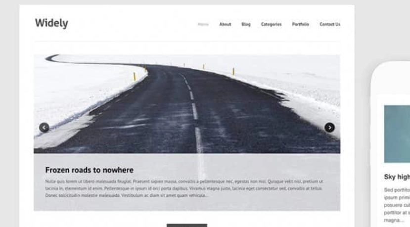 Themes Kingdom Widely WordPress Theme