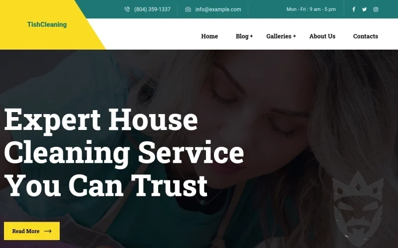 TishCleaning - Cleaning Services WordPress Theme