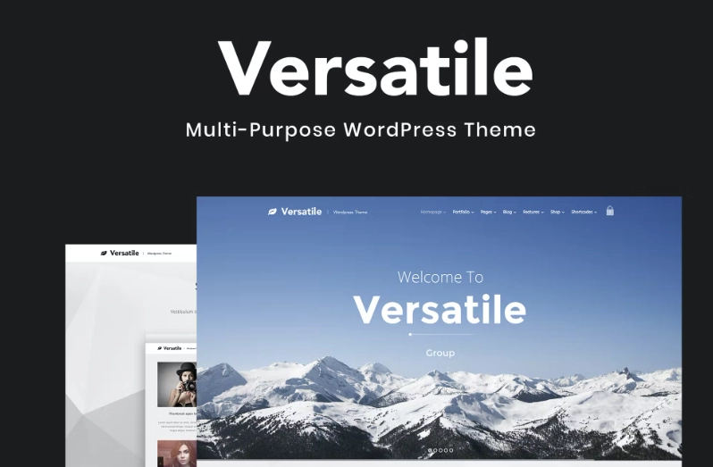 Versatile - Multi-purpose WordPress Theme