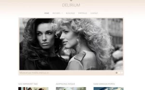 Viva Themes Delirium WordPress Theme