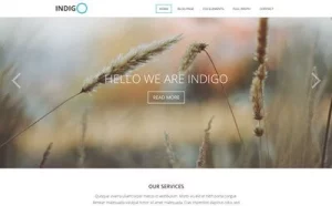 Viva Themes Indigo WordPress Theme