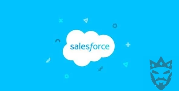 WP ERP Salesforce Contacts Sync