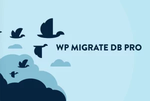 WP Migrate DB Pro