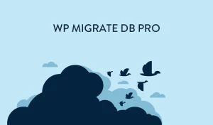 WP Migrate DB Pro Multisite Tools