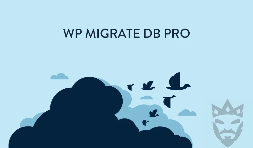 WP Migrate DB Pro Theme & Plugin Files