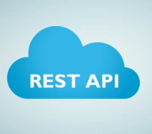 WP Statistic REST API