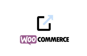 WPDESK Dropshipping Export Products for WooCommerce