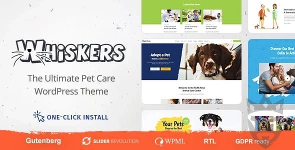 Whiskers - Pets Store | Vet Clinic | Animal Adoption