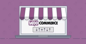 WooCommerce Alipay Cross Border Payment Gateway