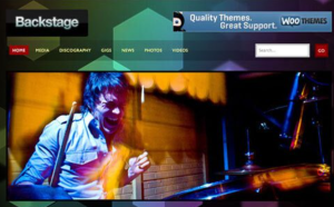 WooThemes Backstage Premium Theme