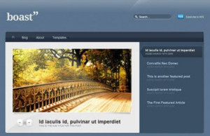 WooThemes Boast Premium Theme