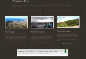 WooThemes Buro Premium Theme