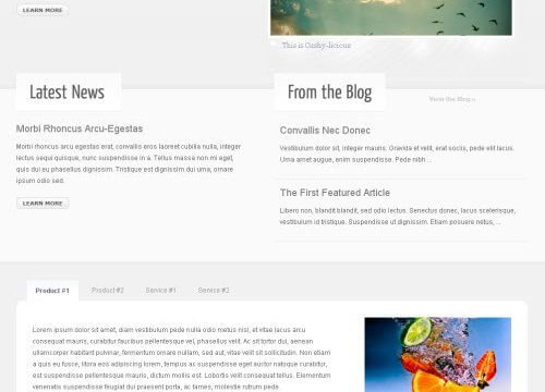 WooThemes Cushy Premium Theme