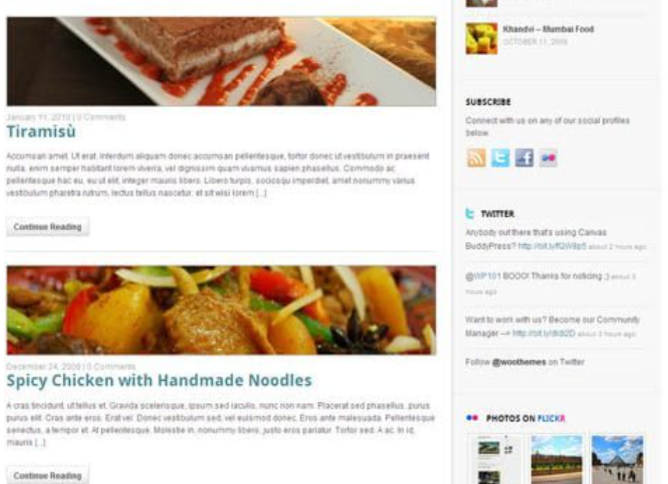 WooThemes Delicious Magazine Premium Theme