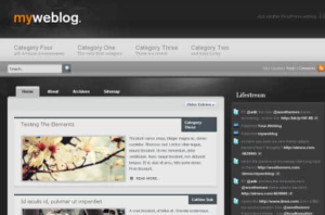 WooThemes Myweblog Premium Theme