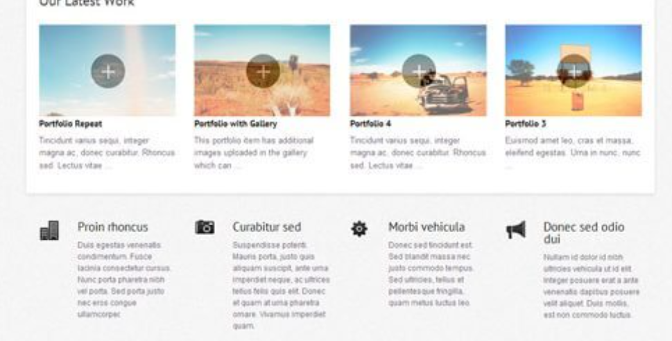 WooThemes Olya Premium Theme