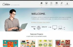 YITH Celestino Premium WordPress Themes