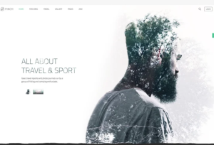 YOOTHEME FINCH WORDPRESS THEME