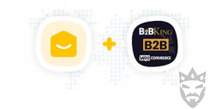 YayMail Addon for B2BKing